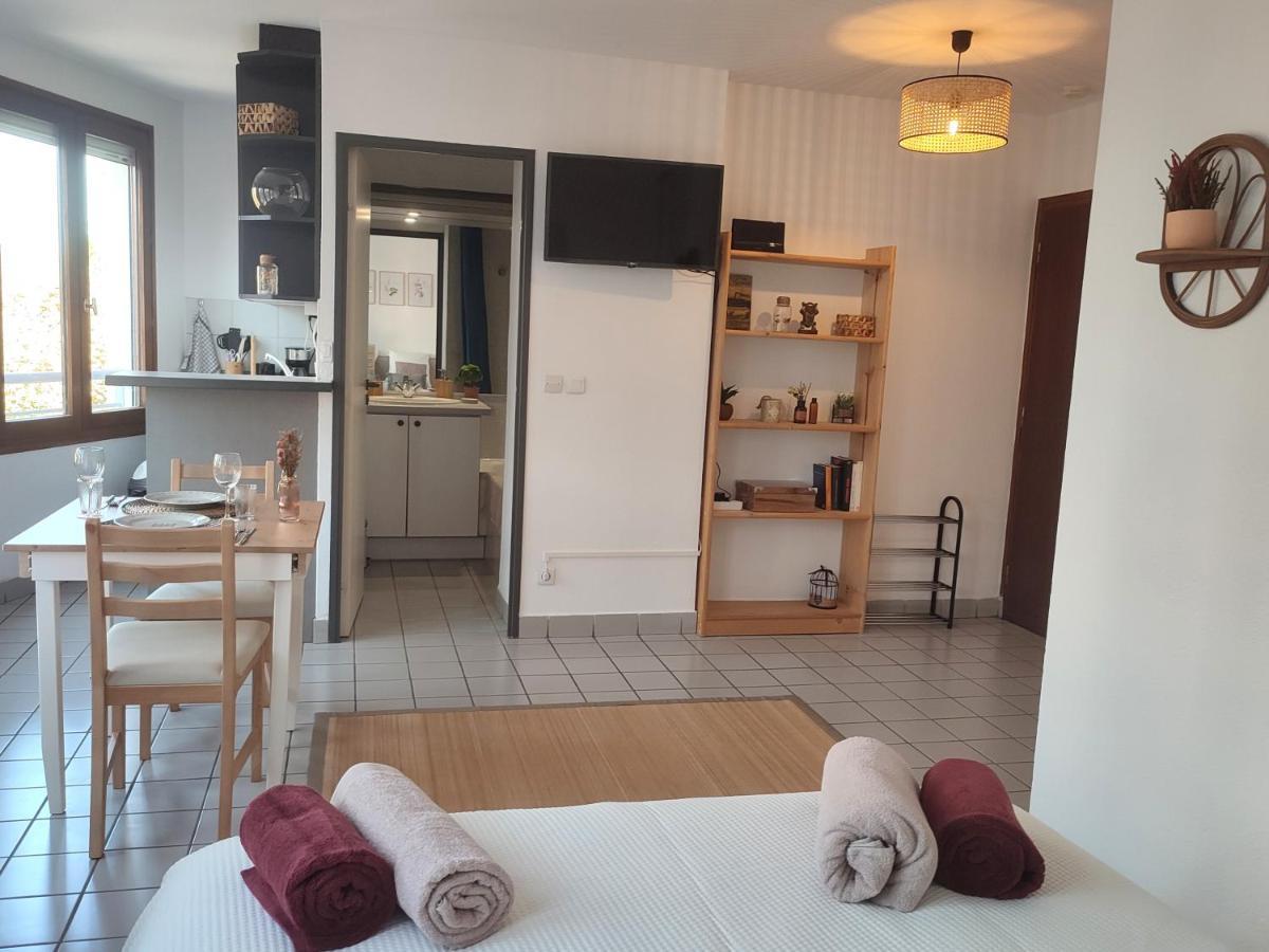 Joli Studio Tout Confort - Centre-Ville Annecy Luaran gambar